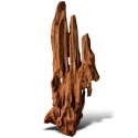 Philippines Classic Driftwood - mangrove wood from water XXS ok.10cm